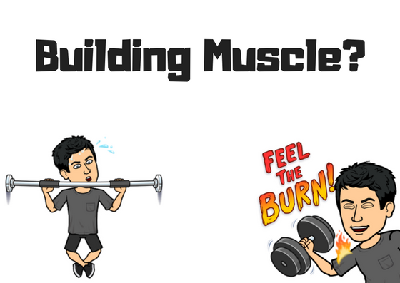 How to Build Muscle