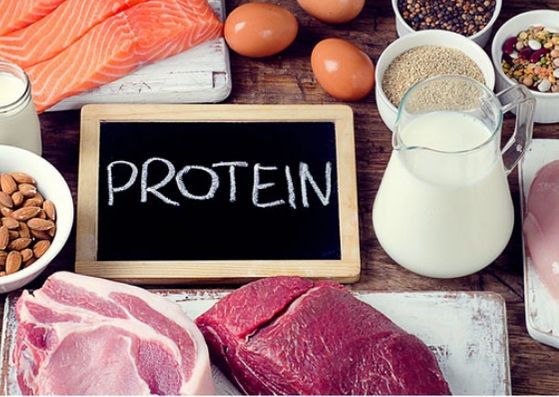 Does More Protein Mean More Muscle?