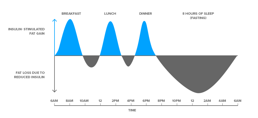 insulin and fat loss or storage