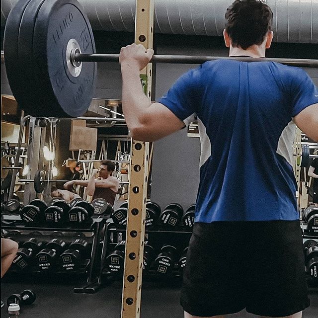 barbell back squats