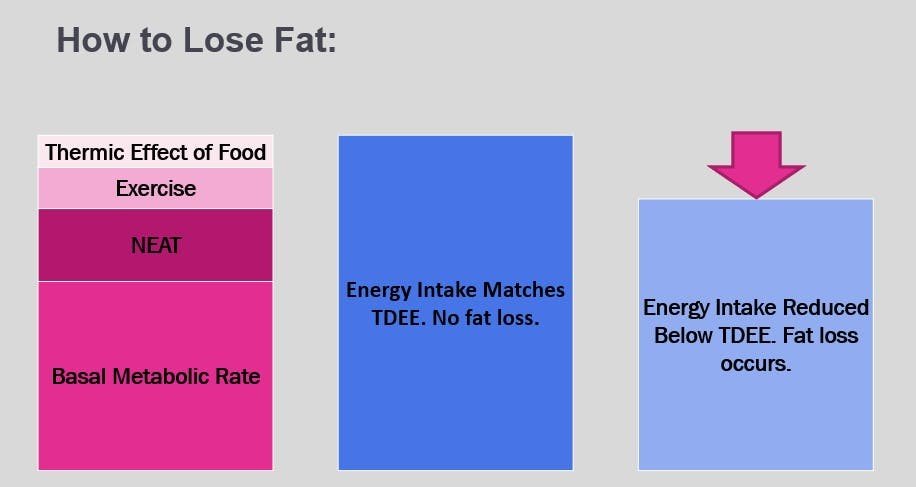 How to lose fat, lower intake below tdee