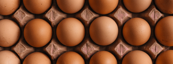 Is it Healthy to Eat Eggs? (Evidence Based)