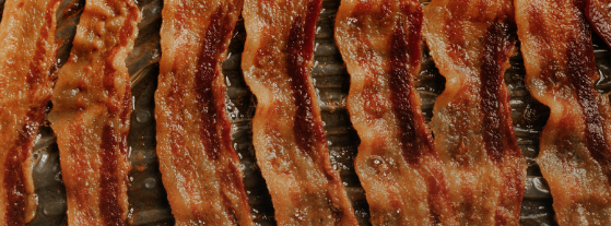 Is Saturated Fat Terrible For Your Health or is this a Myth?